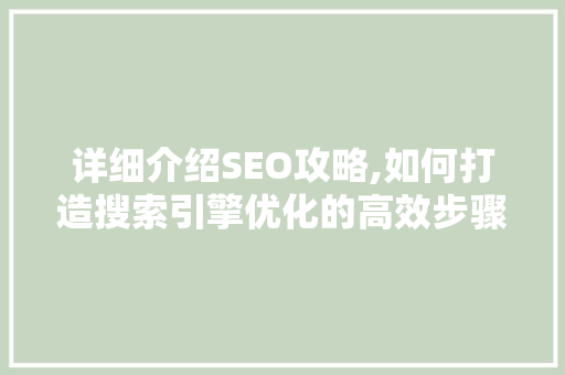 详细介绍SEO攻略,如何打造搜索引擎优化的高效步骤  第1张