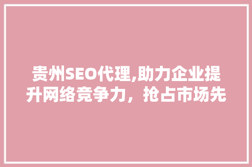 贵州SEO代理,助力企业提升网络竞争力，抢占市场先机