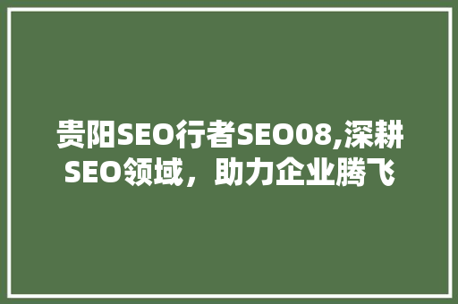 贵阳SEO行者SEO08,深耕SEO领域，助力企业腾飞