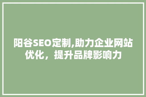 阳谷SEO定制,助力企业网站优化，提升品牌影响力