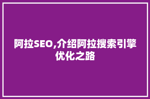 阿拉SEO,介绍阿拉搜索引擎优化之路
