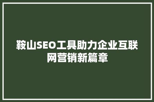 鞍山SEO工具助力企业互联网营销新篇章