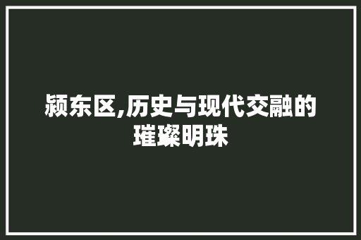 颍东区,历史与现代交融的璀璨明珠
