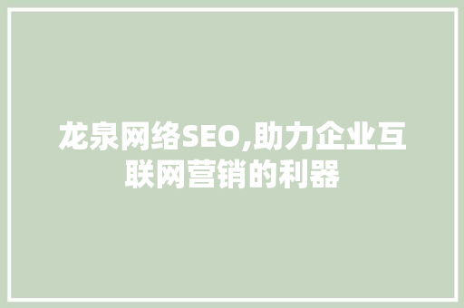 龙泉网络SEO,助力企业互联网营销的利器