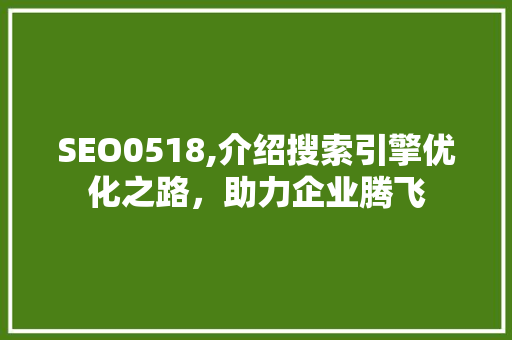 SEO0518,介绍搜索引擎优化之路，助力企业腾飞