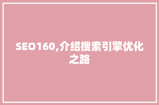 SEO160,介绍搜索引擎优化之路