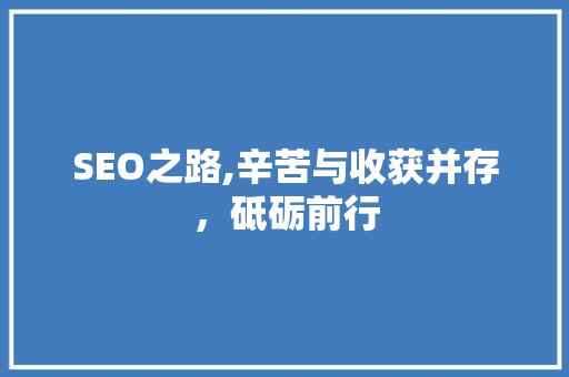 SEO之路,辛苦与收获并存，砥砺前行