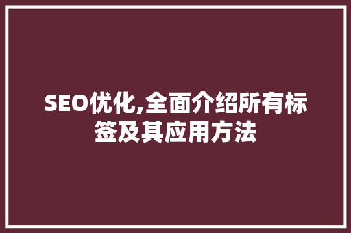 SEO优化,全面介绍所有标签及其应用方法