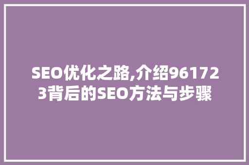 SEO优化之路,介绍961723背后的SEO方法与步骤
