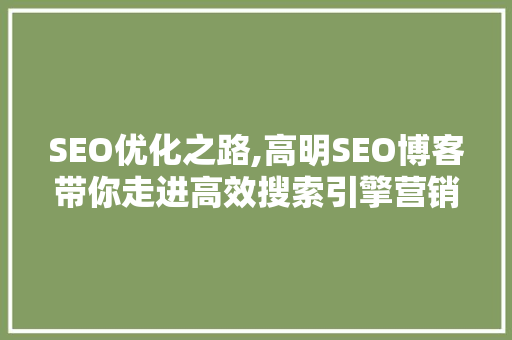 SEO优化之路,高明SEO博客带你走进高效搜索引擎营销