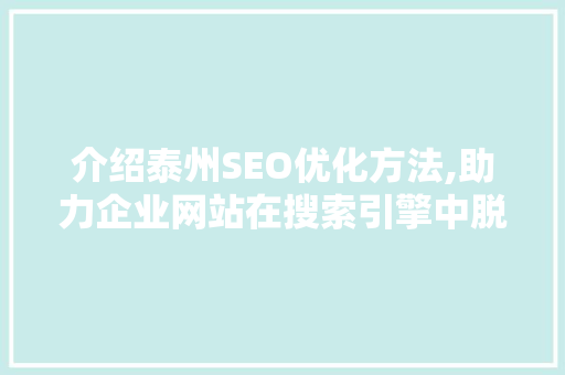 介绍泰州SEO优化方法,助力企业网站在搜索引擎中脱颖而出