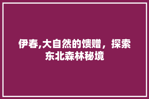 伊春,大自然的馈赠，探索东北森林秘境  第1张