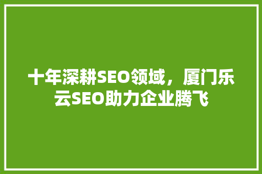 十年深耕SEO领域，厦门乐云SEO助力企业腾飞