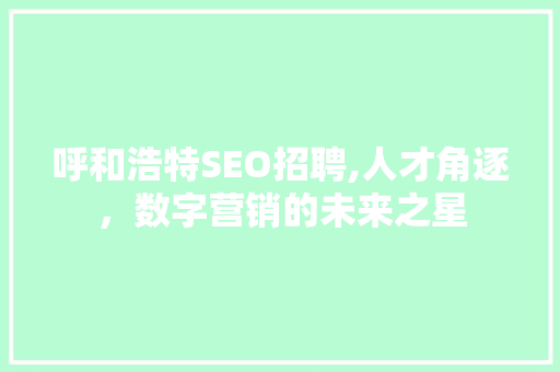 呼和浩特SEO招聘,人才角逐，数字营销的未来之星