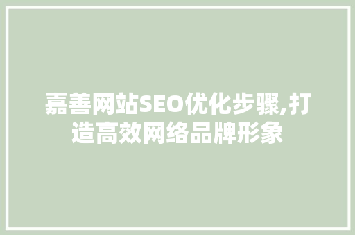 嘉善网站SEO优化步骤,打造高效网络品牌形象