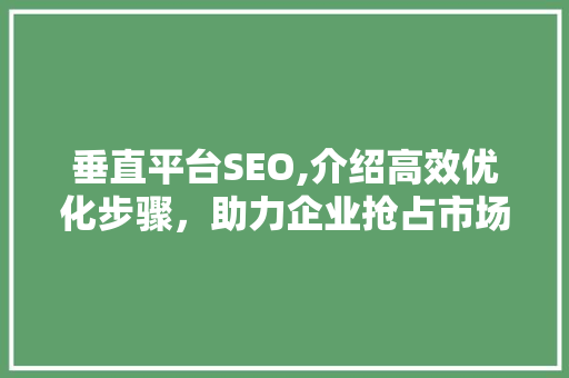 垂直平台SEO,介绍高效优化步骤，助力企业抢占市场先机