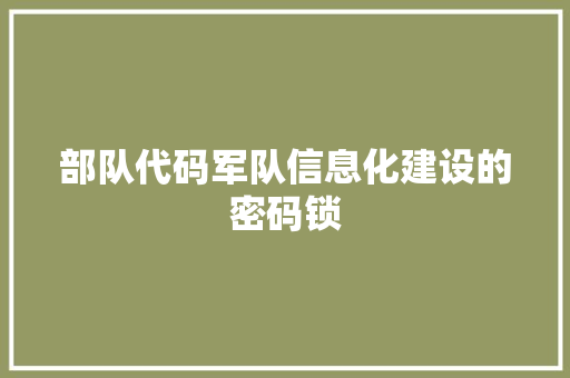 部队代码军队信息化建设的密码锁