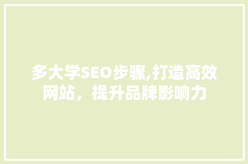 多大学SEO步骤,打造高效网站，提升品牌影响力