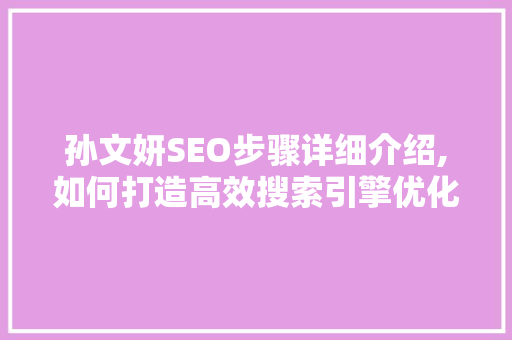 孙文妍SEO步骤详细介绍,如何打造高效搜索引擎优化方法