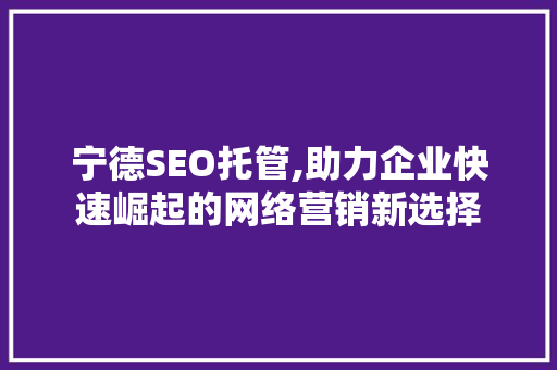 宁德SEO托管,助力企业快速崛起的网络营销新选择