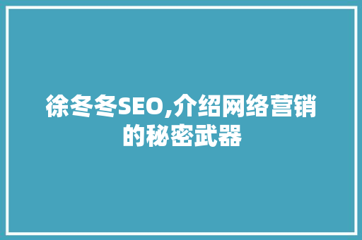 徐冬冬SEO,介绍网络营销的秘密武器