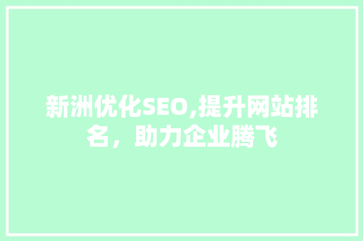 新洲优化SEO,提升网站排名，助力企业腾飞