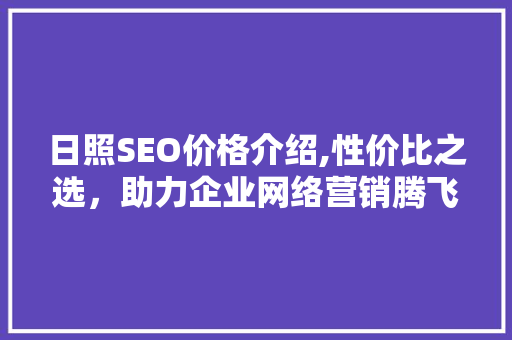 日照SEO价格介绍,性价比之选，助力企业网络营销腾飞
