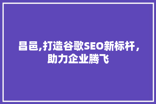 昌邑,打造谷歌SEO新标杆，助力企业腾飞