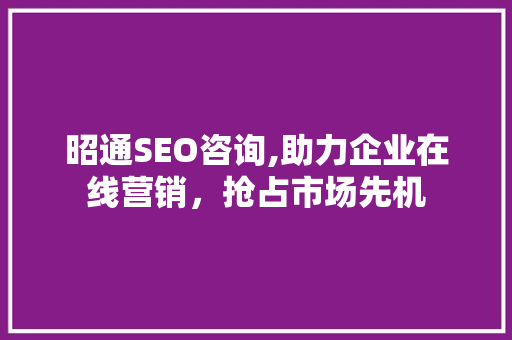 昭通SEO咨询,助力企业在线营销，抢占市场先机