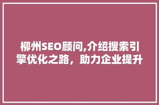 柳州SEO顾问,介绍搜索引擎优化之路，助力企业提升在线竞争力