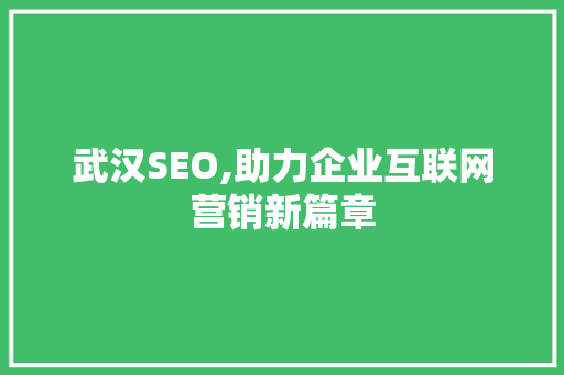 武汉SEO,助力企业互联网营销新篇章