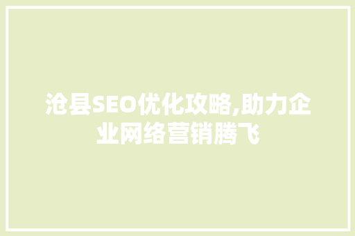 沧县SEO优化攻略,助力企业网络营销腾飞