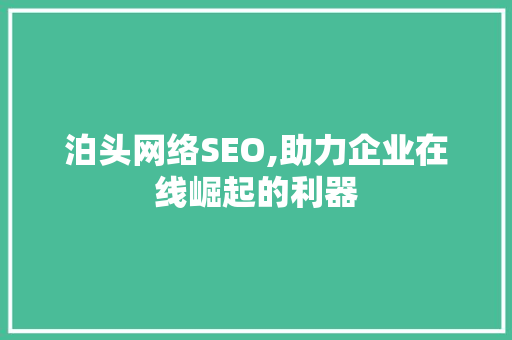 泊头网络SEO,助力企业在线崛起的利器