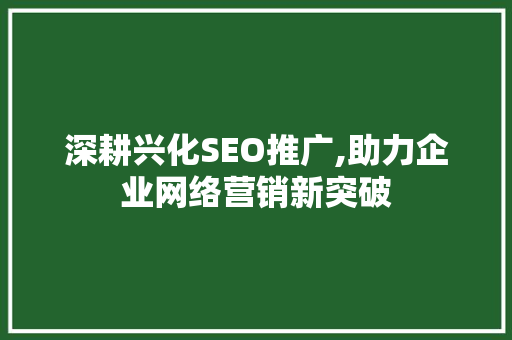 深耕兴化SEO推广,助力企业网络营销新突破  第1张