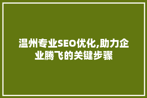 温州专业SEO优化,助力企业腾飞的关键步骤