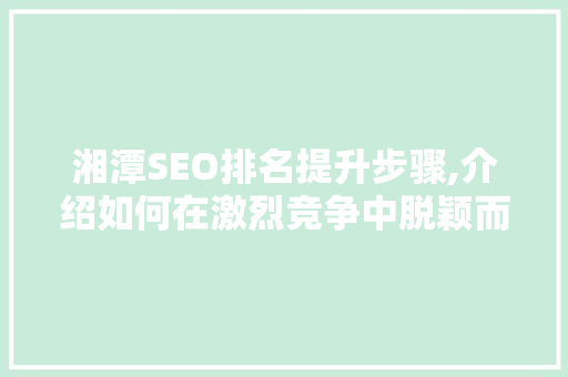 湘潭SEO排名提升步骤,介绍如何在激烈竞争中脱颖而出