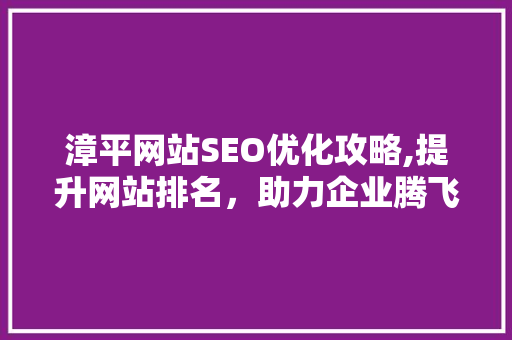 漳平网站SEO优化攻略,提升网站排名，助力企业腾飞