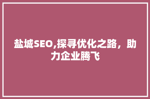 盐城SEO,探寻优化之路，助力企业腾飞