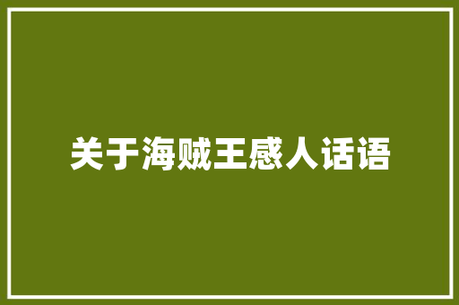 绍兴来客SEO,详细介绍关键词布局步骤，助力企业网站优化