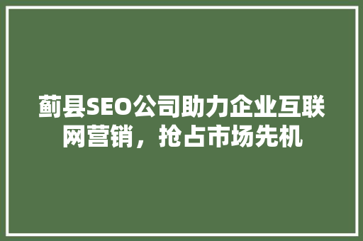 蓟县SEO公司助力企业互联网营销，抢占市场先机