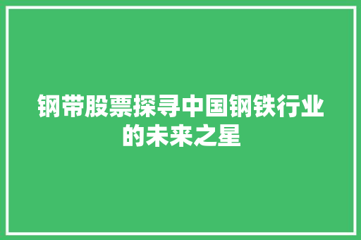 钢带股票探寻中国钢铁行业的未来之星