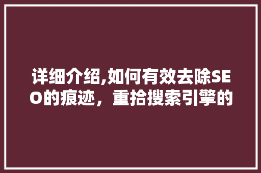 详细介绍,如何有效去除SEO的痕迹，重拾搜索引擎的青睐