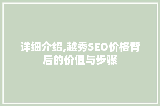 详细介绍,越秀SEO价格背后的价值与步骤