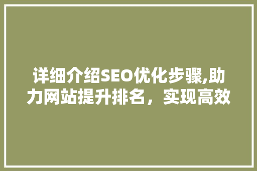 详细介绍SEO优化步骤,助力网站提升排名，实现高效流量转化