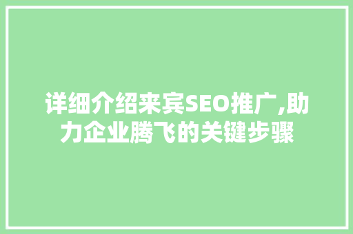 详细介绍来宾SEO推广,助力企业腾飞的关键步骤