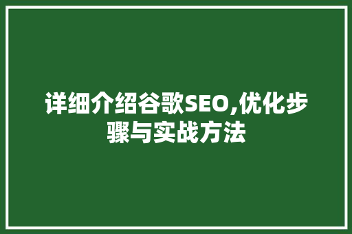 详细介绍谷歌SEO,优化步骤与实战方法