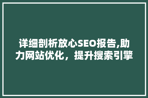 详细剖析放心SEO报告,助力网站优化，提升搜索引擎排名