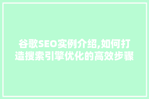 谷歌SEO实例介绍,如何打造搜索引擎优化的高效步骤