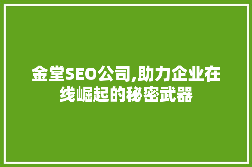 金堂SEO公司,助力企业在线崛起的秘密武器