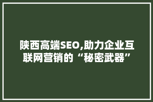 陕西高端SEO,助力企业互联网营销的“秘密武器”